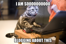 blogging-cat-meme.png
